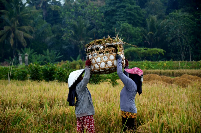 two women carry items across an open field