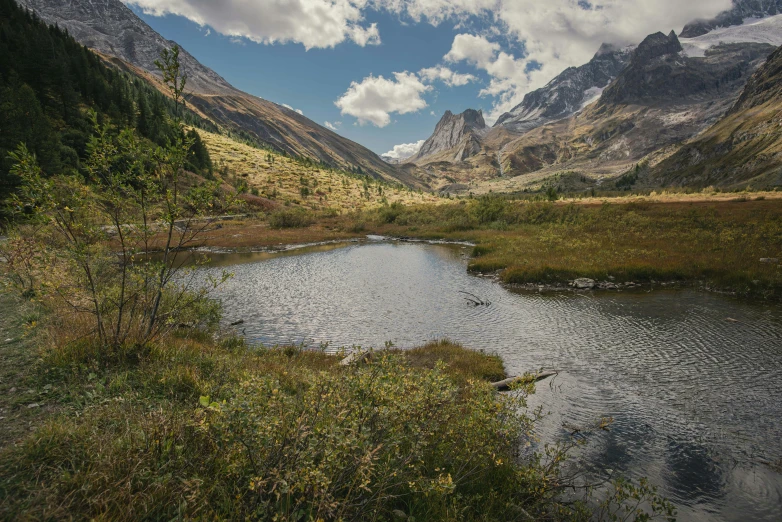 this is a beautiful landscape with mountains, grass, and lake