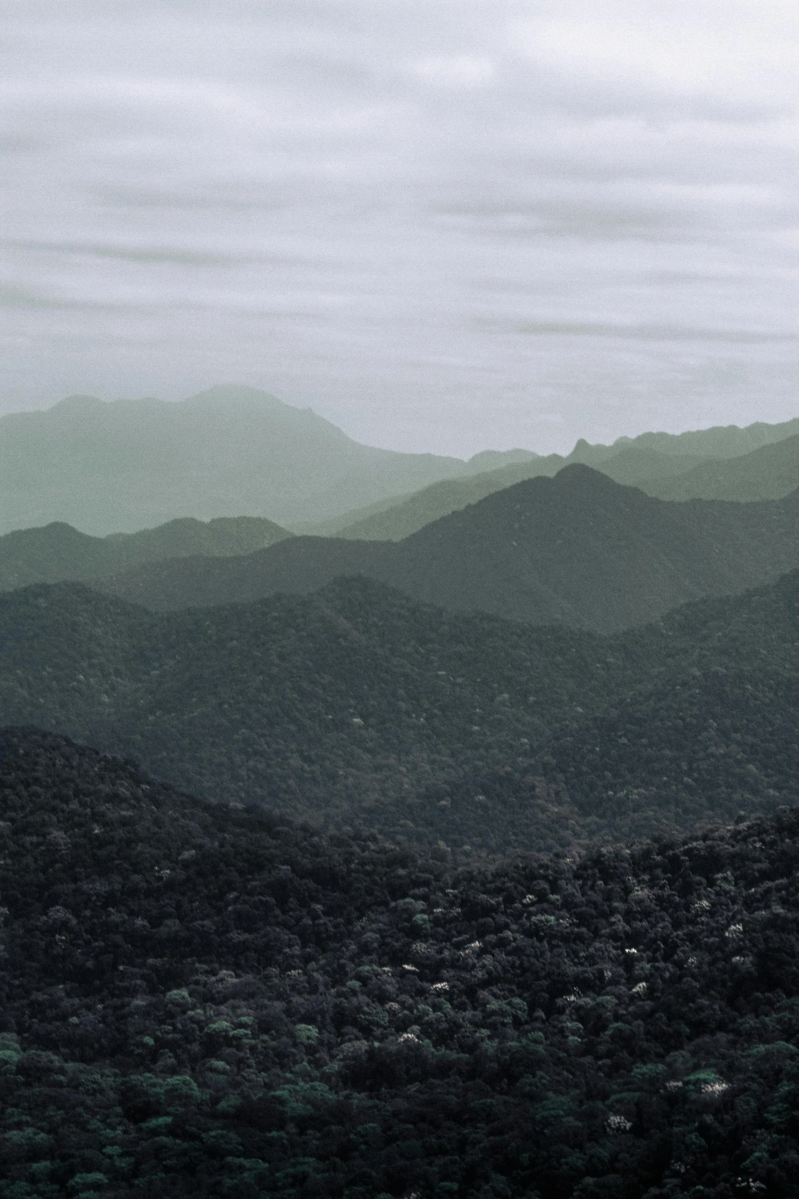 black and white view of the hills from above