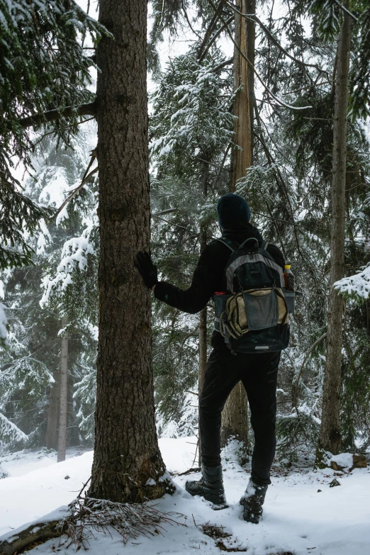 person wearing backpack standing on snow covered slope in the middle of a forest