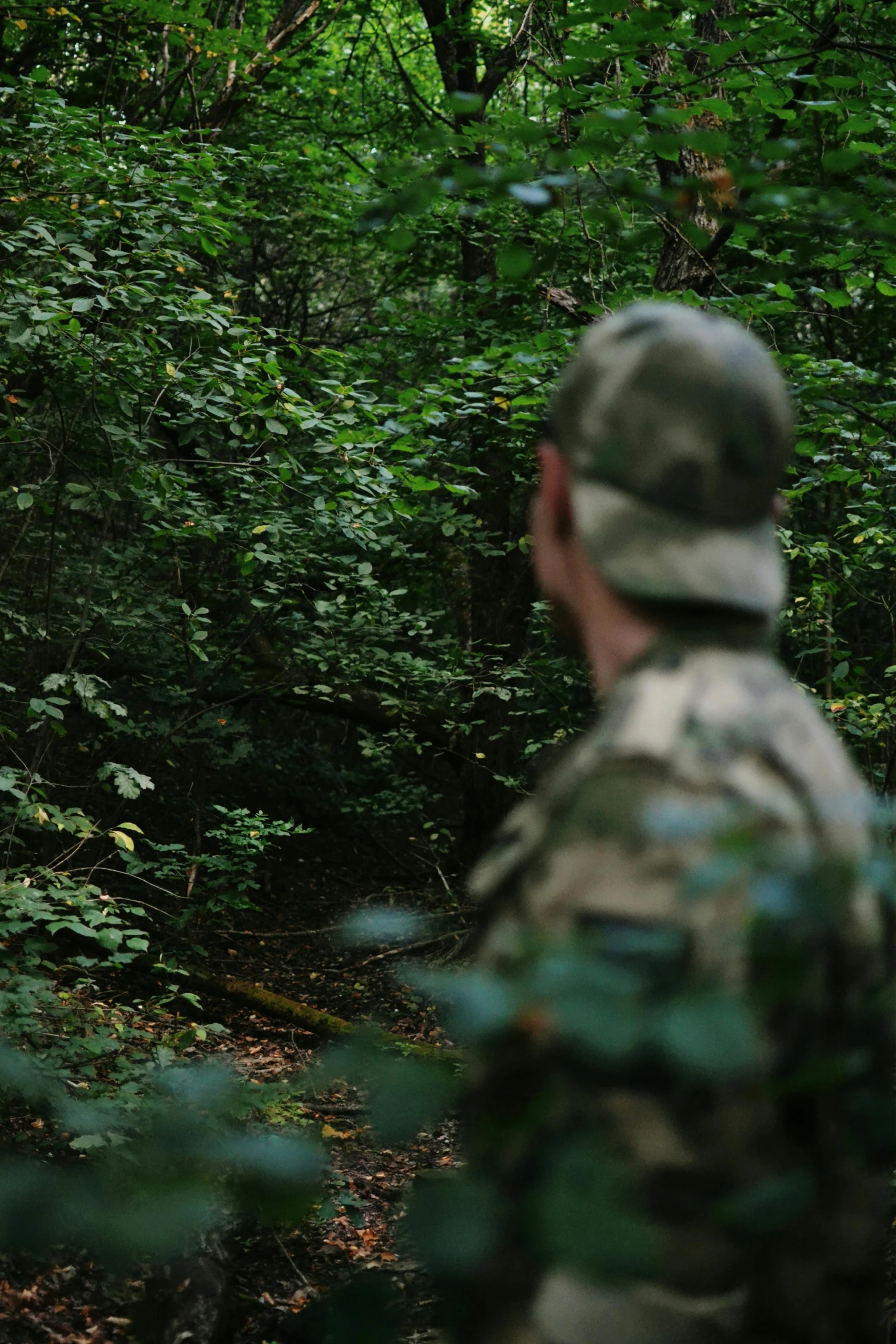 a man is in the middle of a forest looking at soing