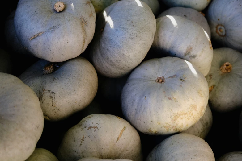 lots of pumpkins have been picked together