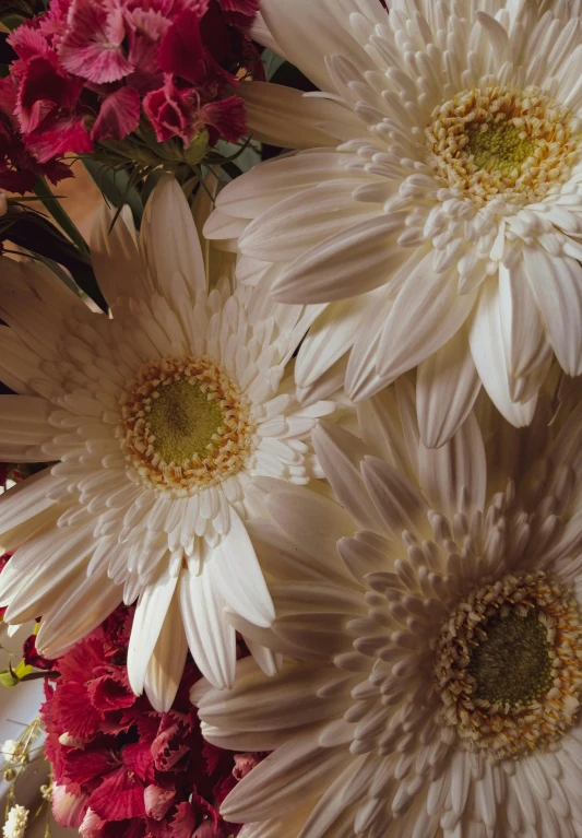 some white flowers with pink and red blooms