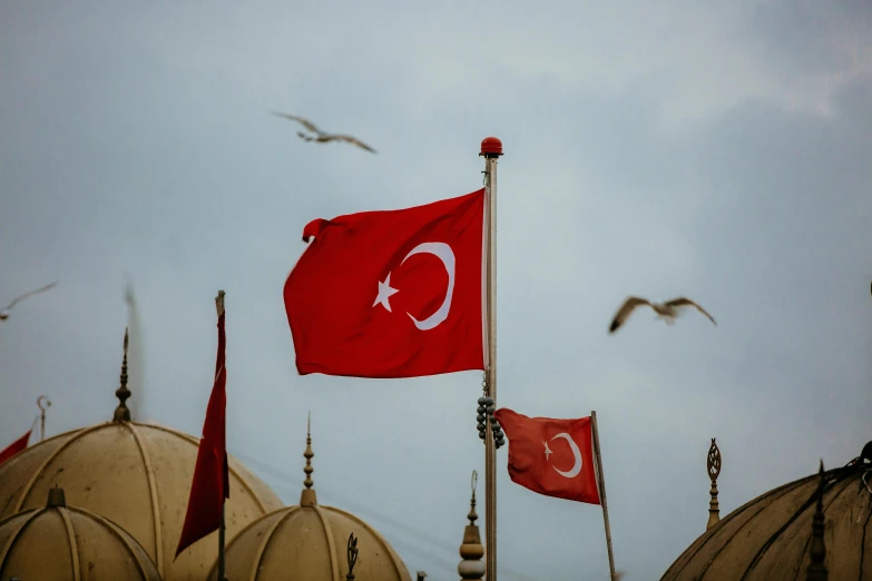 two flags flying over domes on a cloudy day