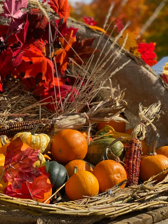 autumn fruit and vegetables are arranged in a basket