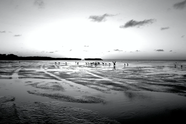 a beach with many people walking on it