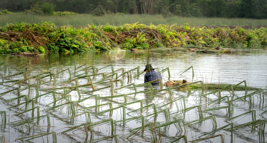 a man sitting in the middle of a pond next to a dead duck