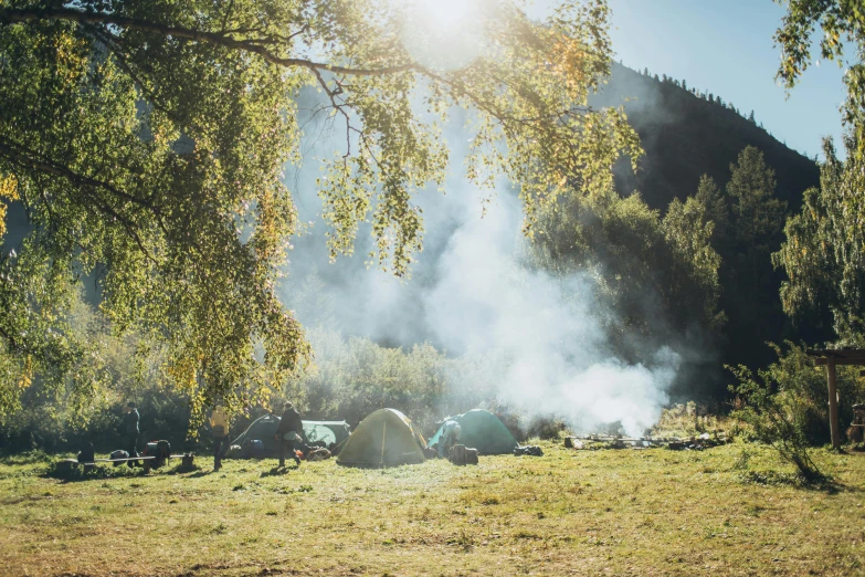 people camping in the woods near the fire