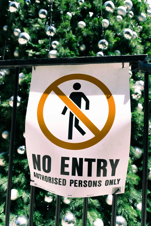 a no entry sign on an iron fence next to a pine tree