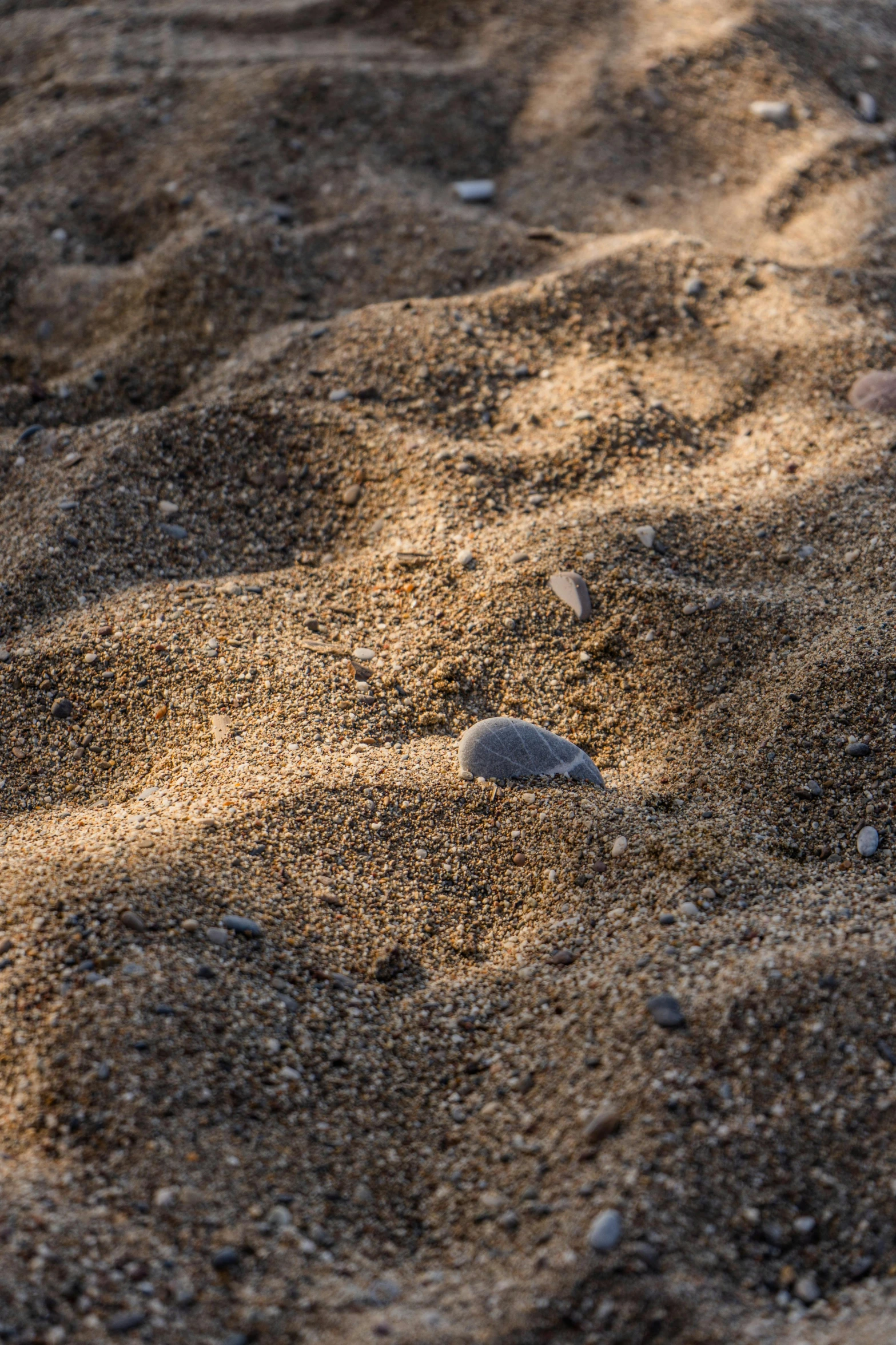 the sand with tiny rocks is textured by sunlight