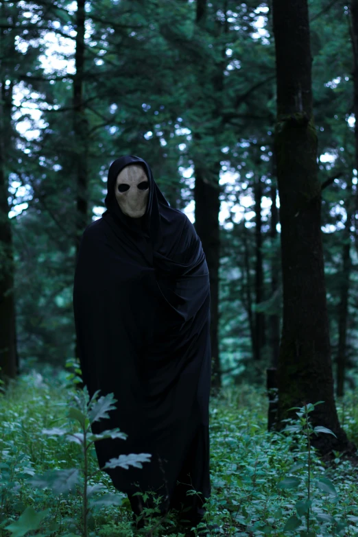 the person is walking in the forest wearing a dark robe