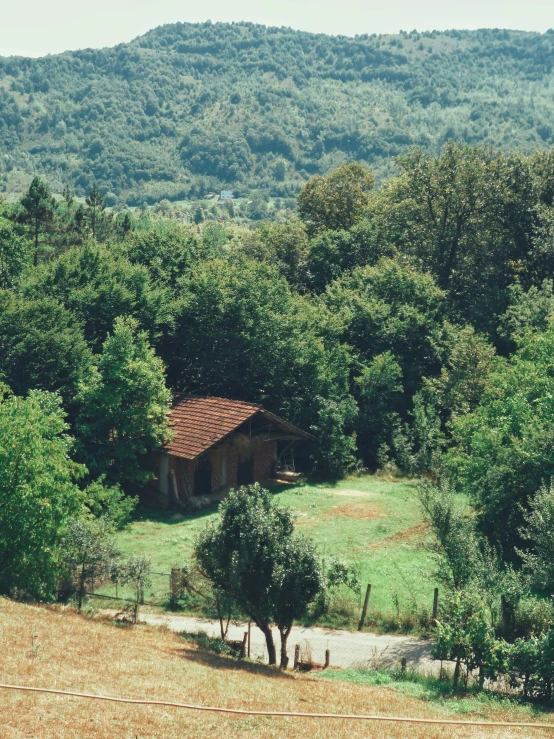 a small wooden cabin in a green forest