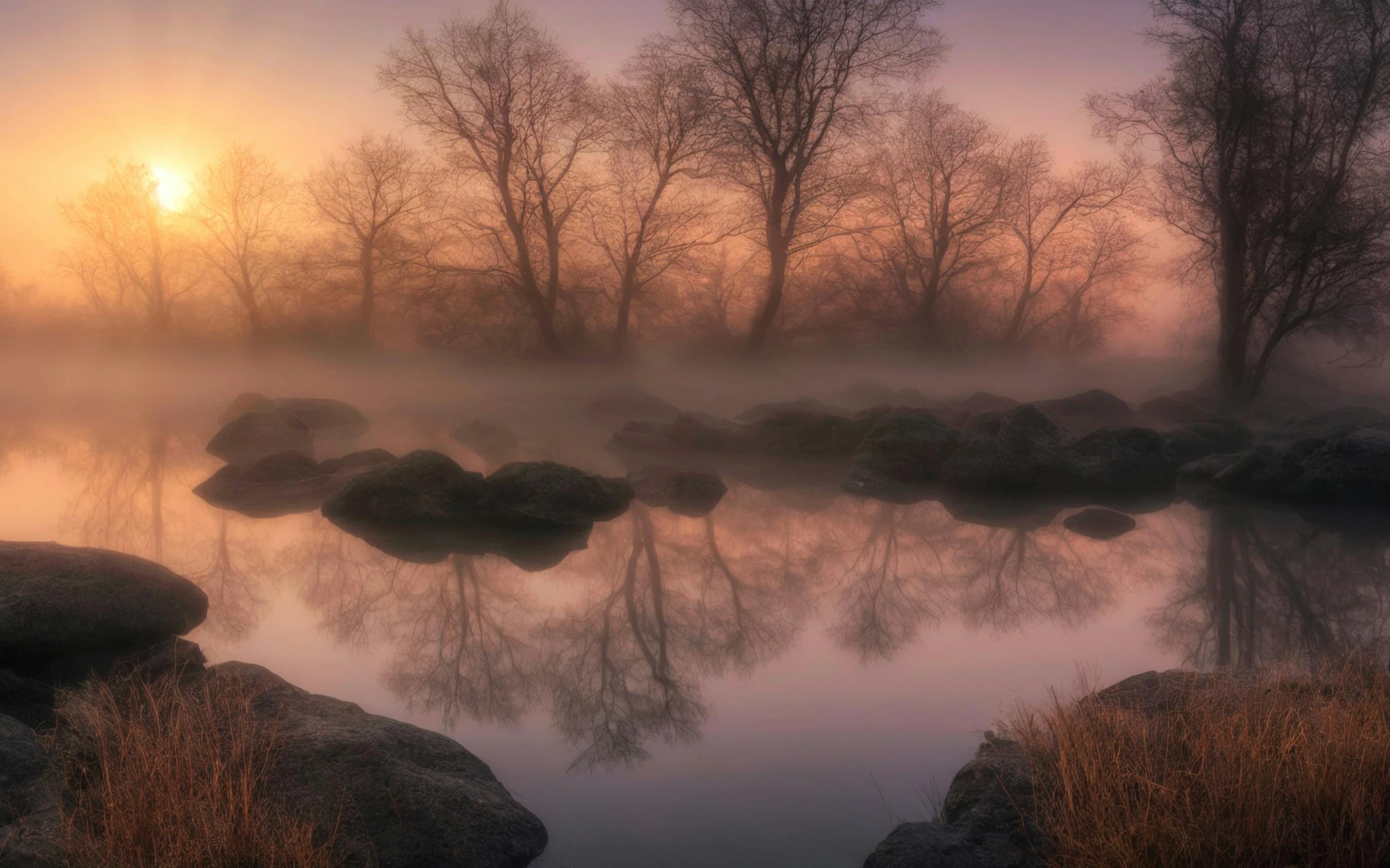 a misty morning with rocks in the water and trees