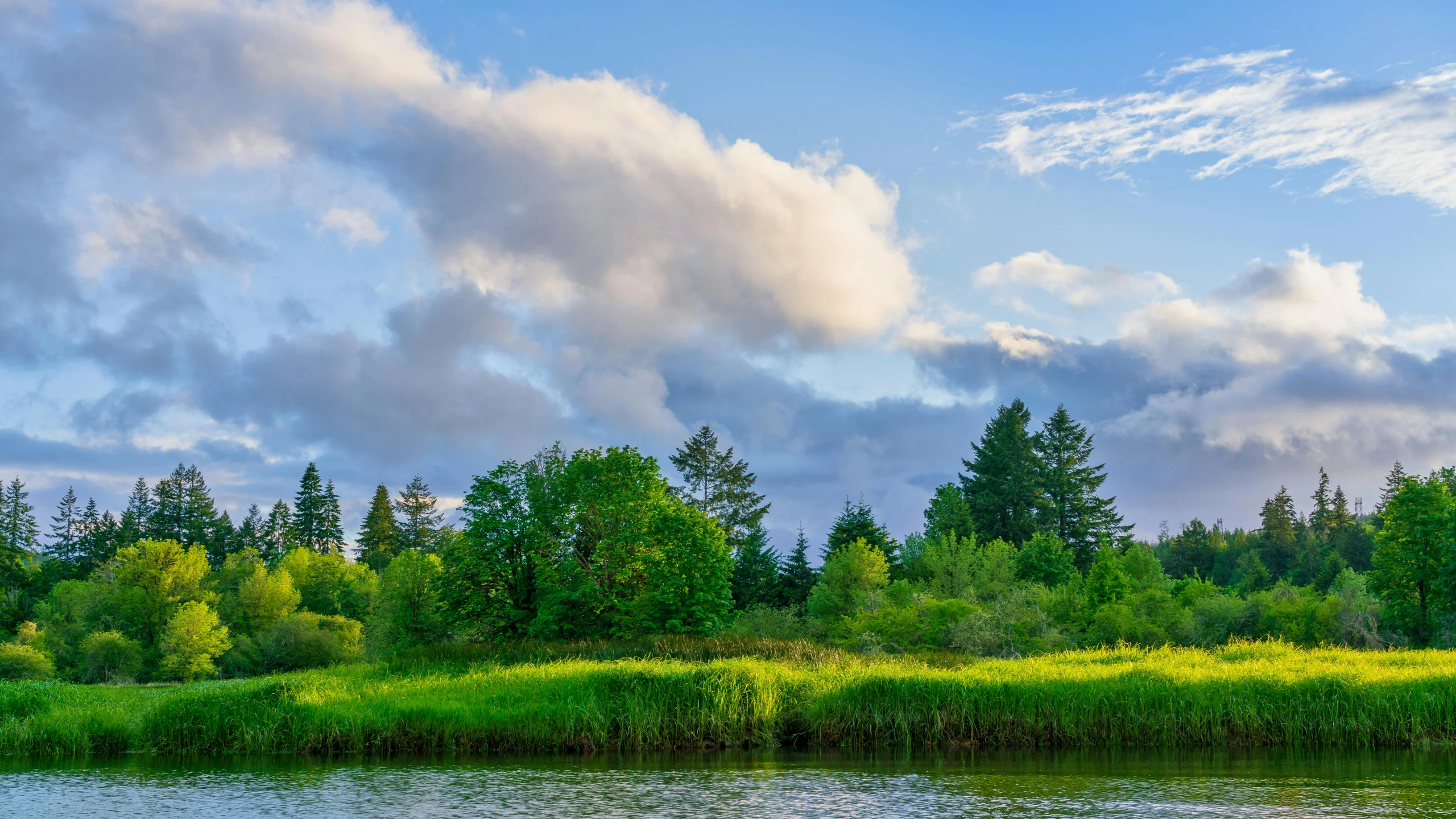 some clouds over a small lake in the forest