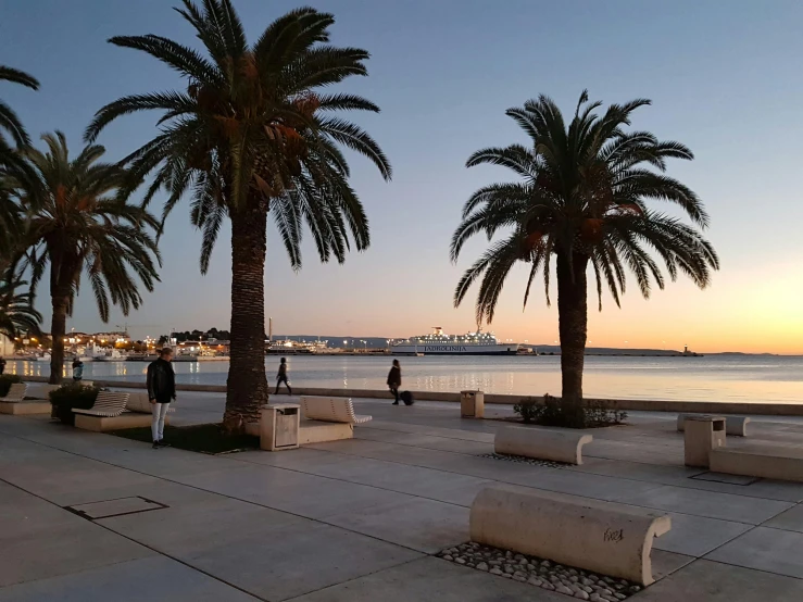 two palm trees at the beach in front of the ocean