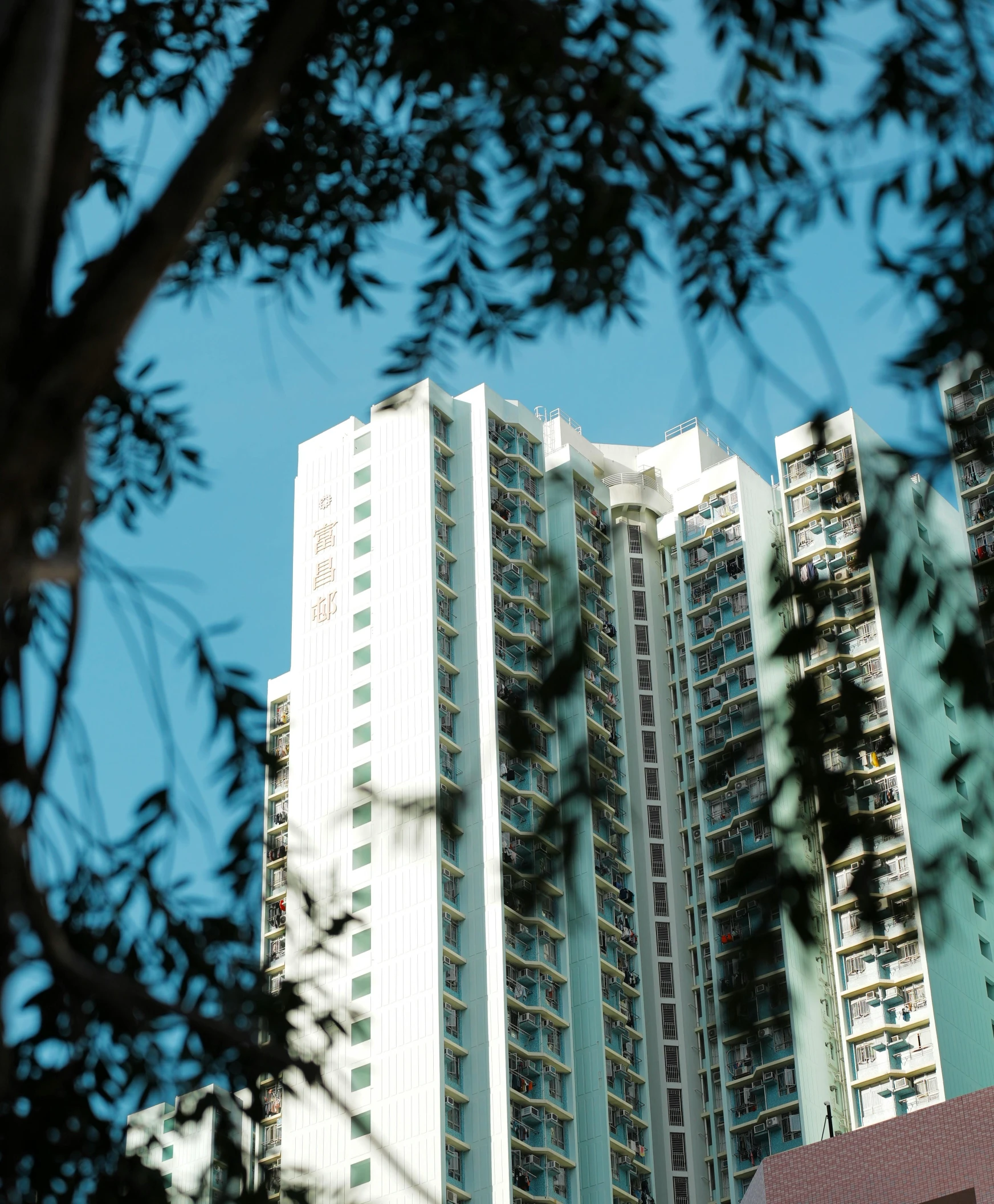 the view from the ground looking up at buildings