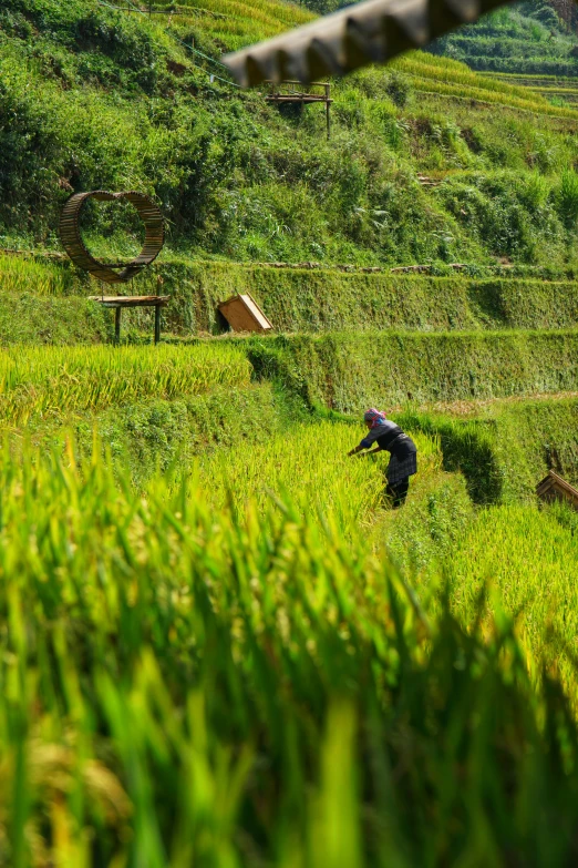 a person walking up a hill in the middle of a grassy hill