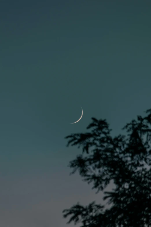 the moon is in the blue sky as it sits behind a silhouette of trees