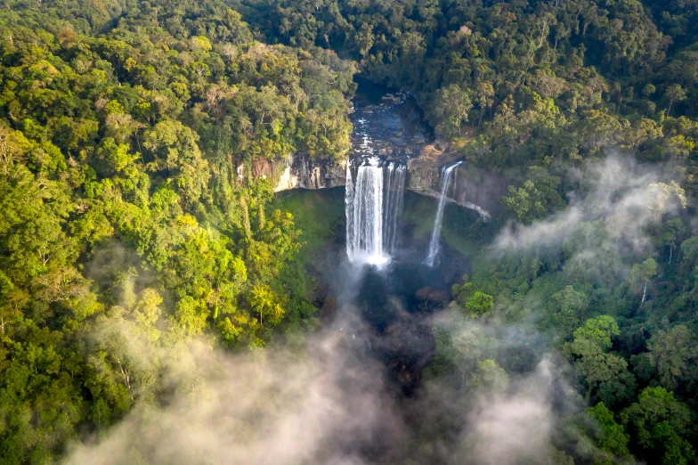 a waterfall surrounded by dense green trees