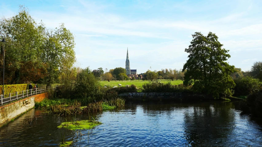 a river flowing through a lush green field