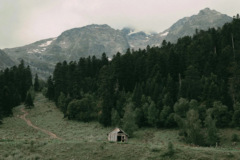 a cabin in the middle of an open field with trees