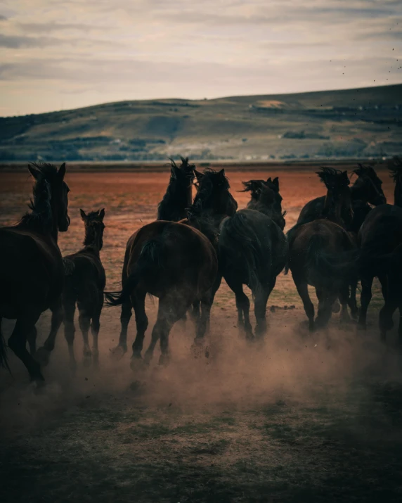 a group of horses running on a dirt field