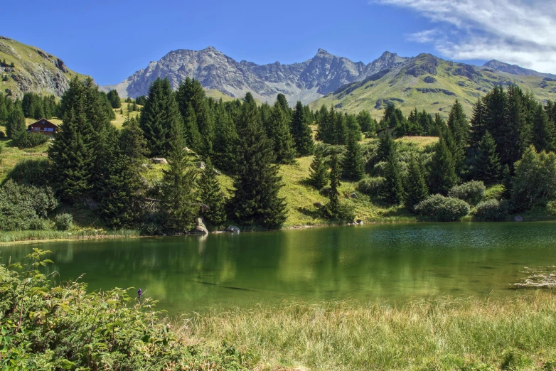 a pond in the mountains with a group of trees around it