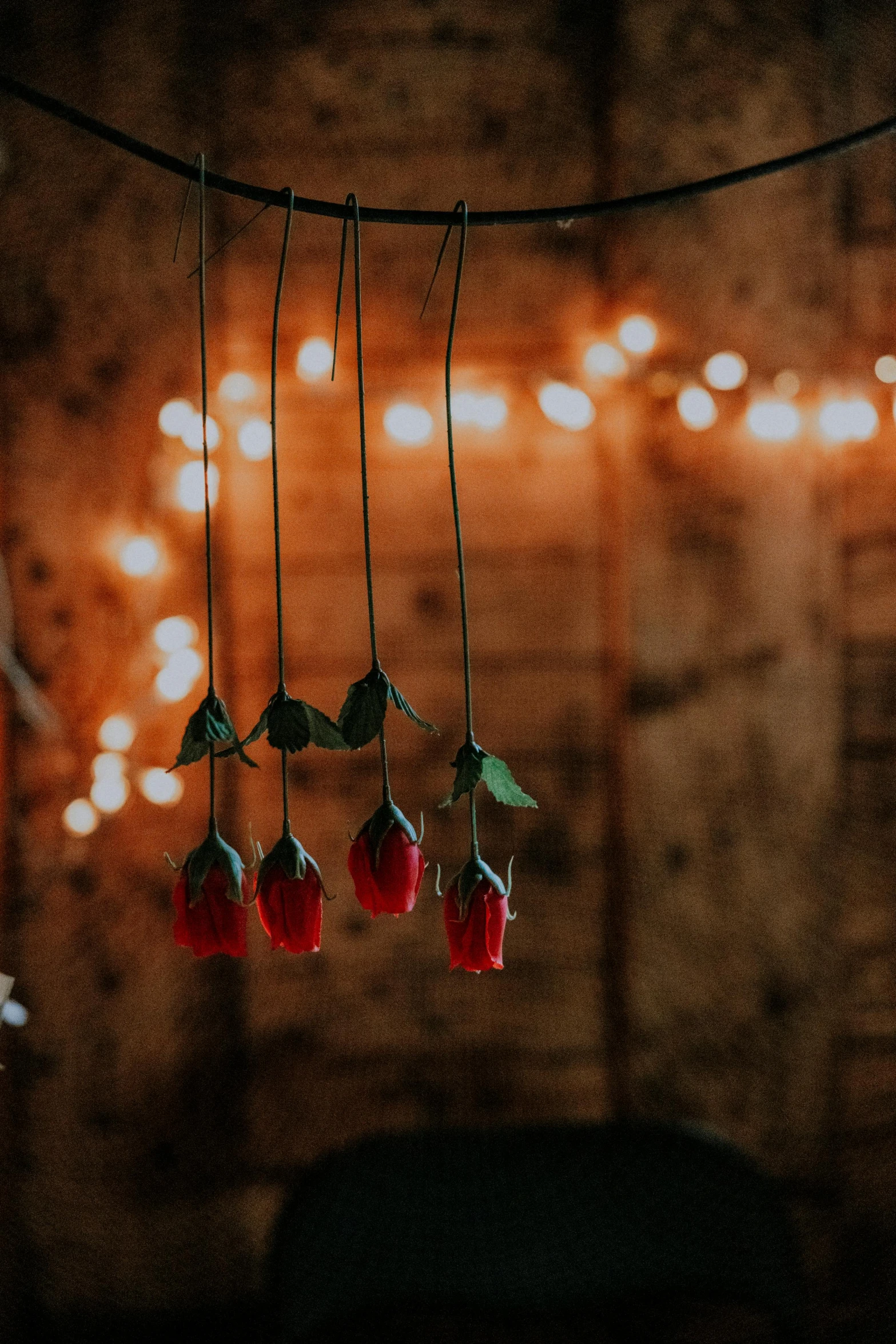 several hanging red roses are dangling from strings