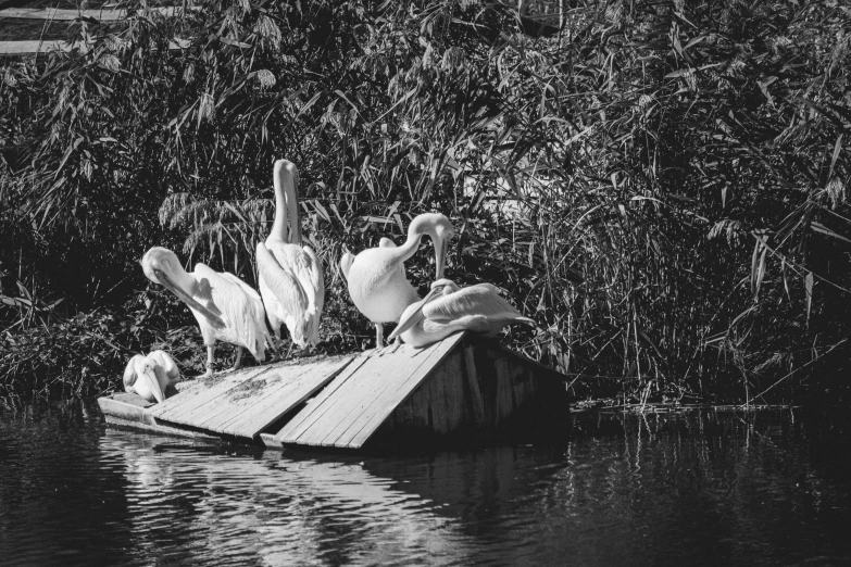 two girls and some birds sitting on a raft in the water