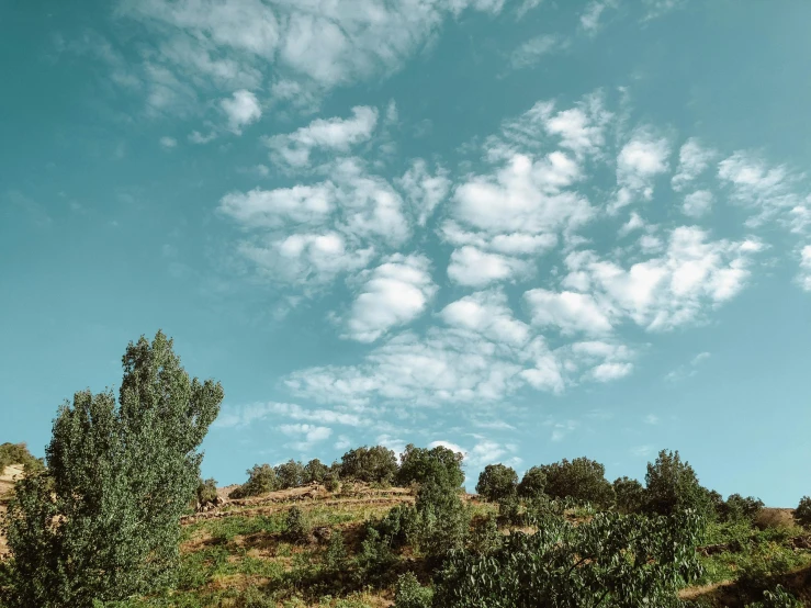 an overcast sky is seen from a grassy hillside