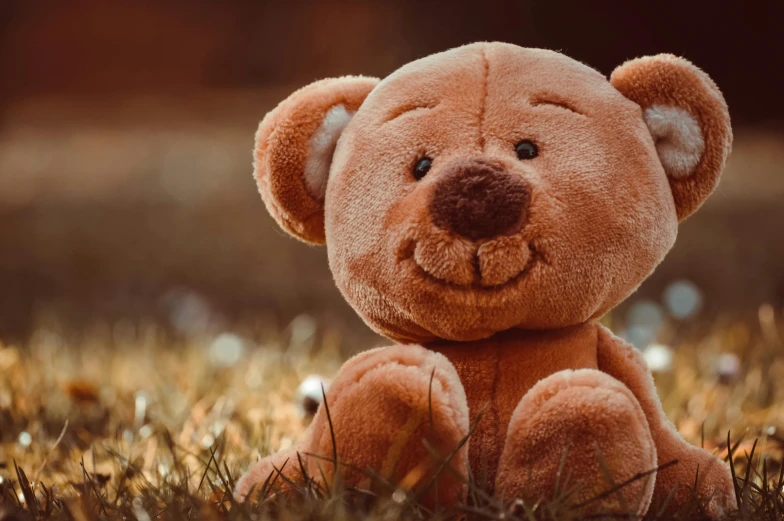 brown teddy bear sitting in the grass looking sad