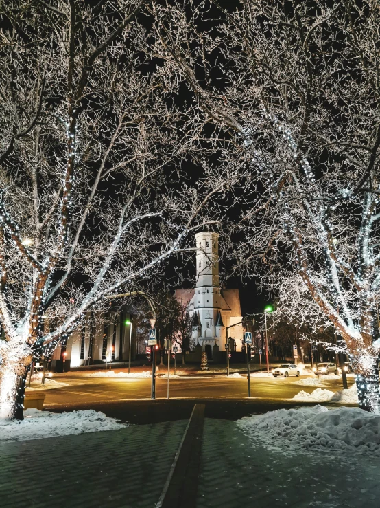 the lighted trees are in front of the building