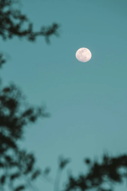 the full moon can be seen through trees