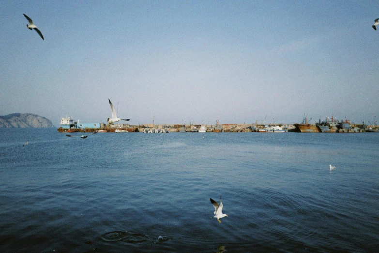 birds fly close to an industrial area as a boat docks