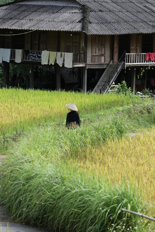 a person sits in the tall grass by some buildings