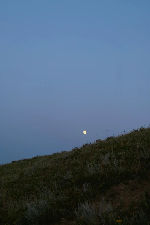 a couple people standing on the top of a hill