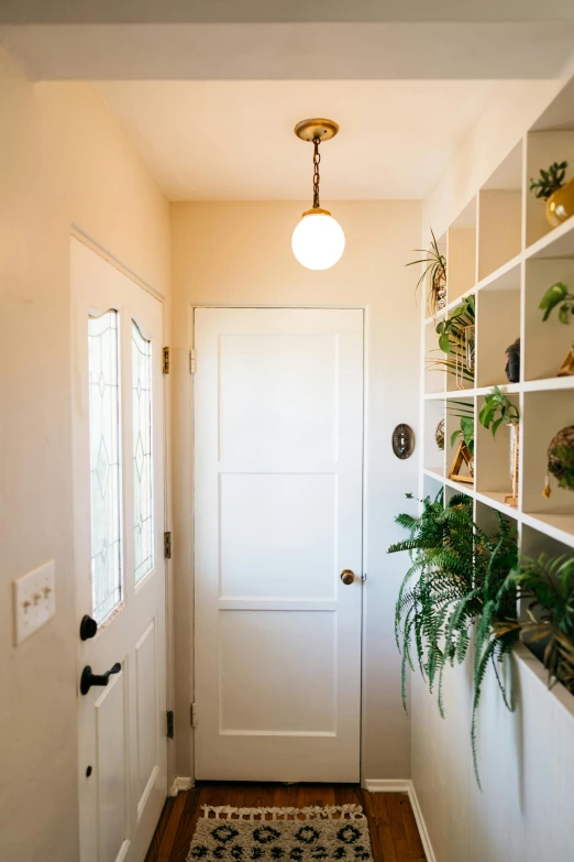 a narrow hallway with white walls and a green plant on the corner