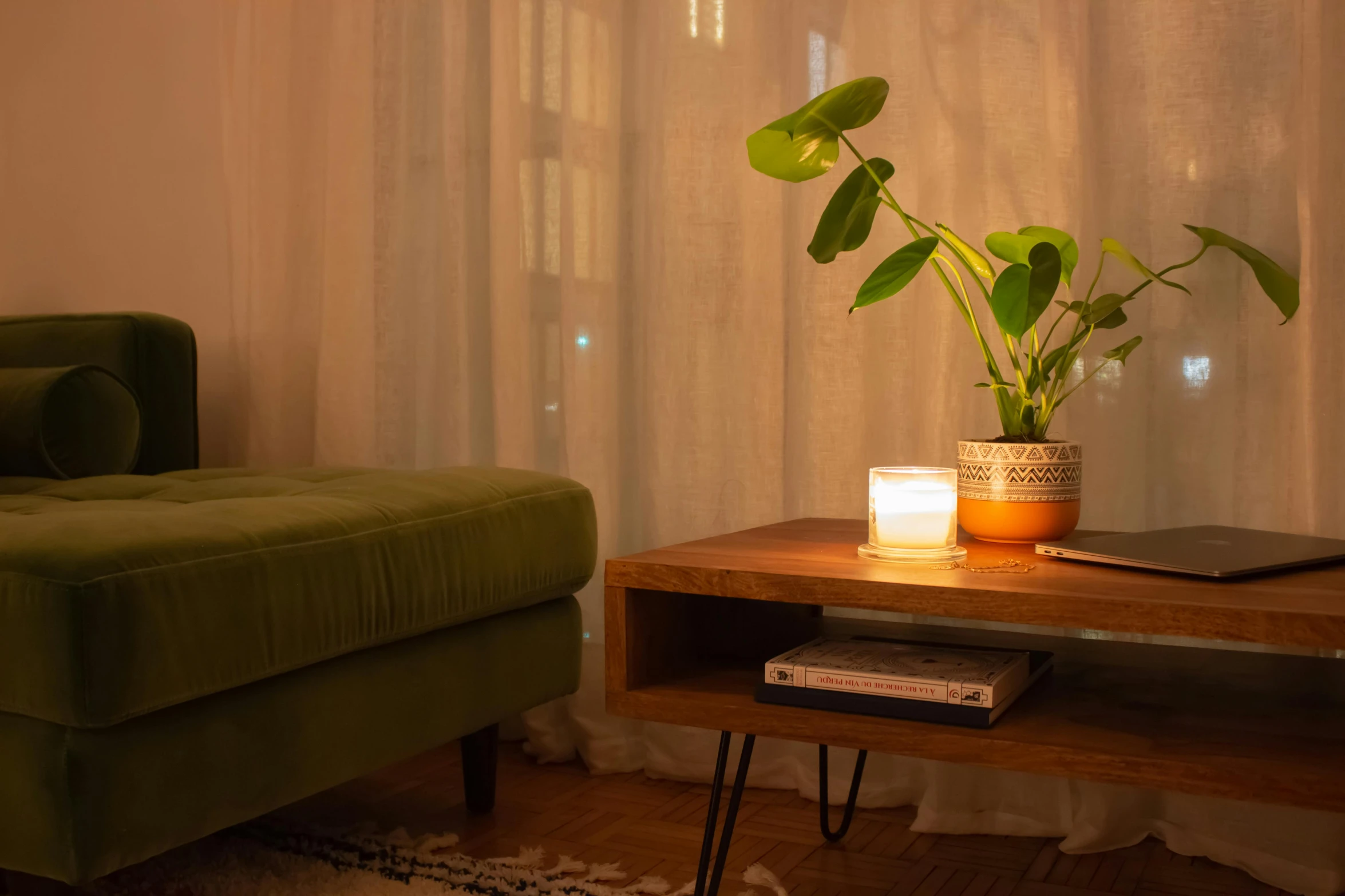 the lamp is next to a large potted plant
