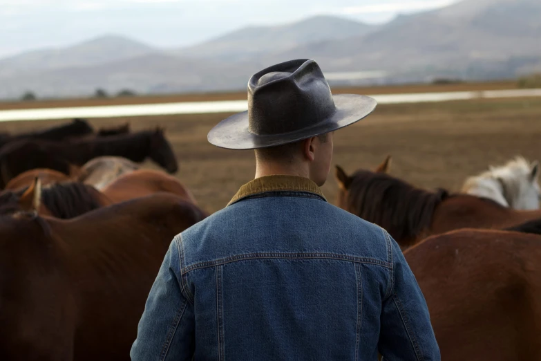 the man is watching the horses in the field