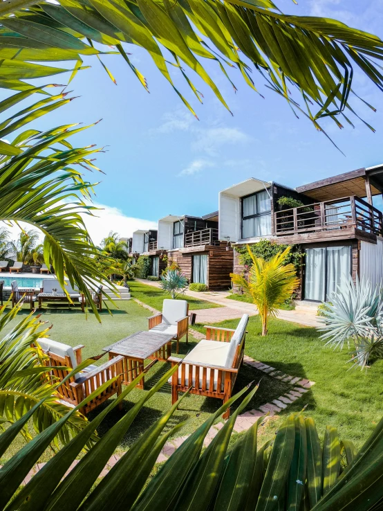 a lawn covered with lots of green trees next to a pool