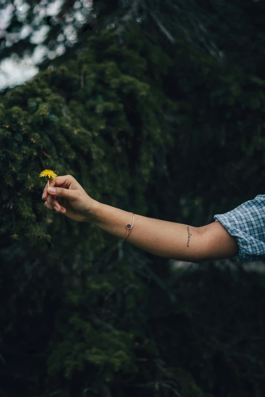 the yellow flower is in the palm of a girl's hand