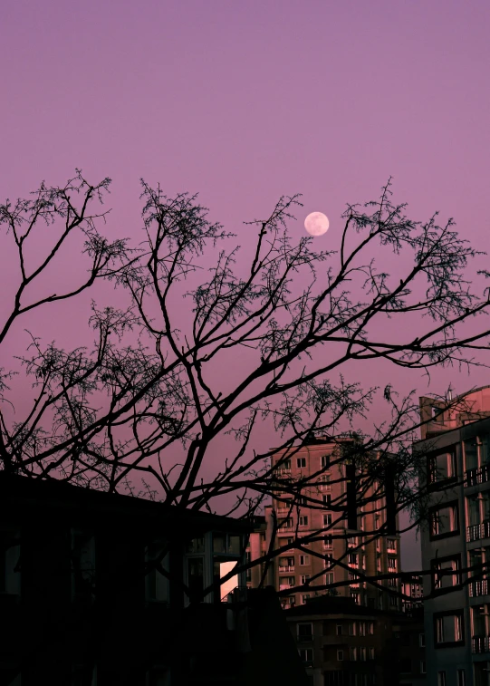 the moon above a cluster of apartments is shown in a purple - tinted sky