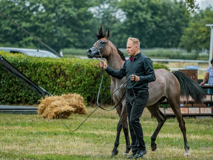 a man walking a horse on grass next to a building