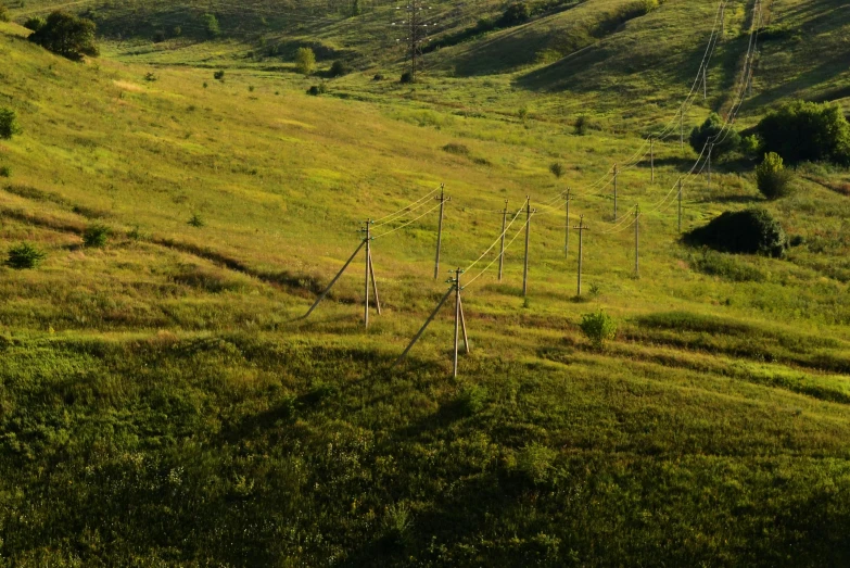 a grassy hill is covered in power lines