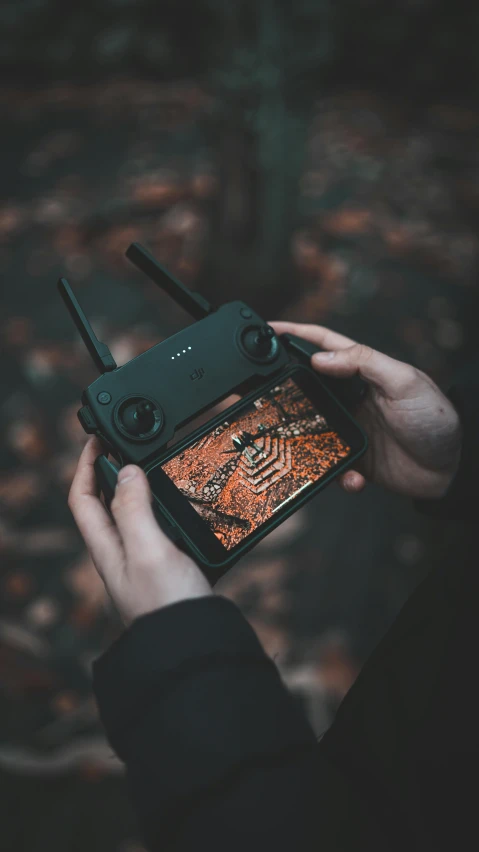 a person holding a cell phone over some trees