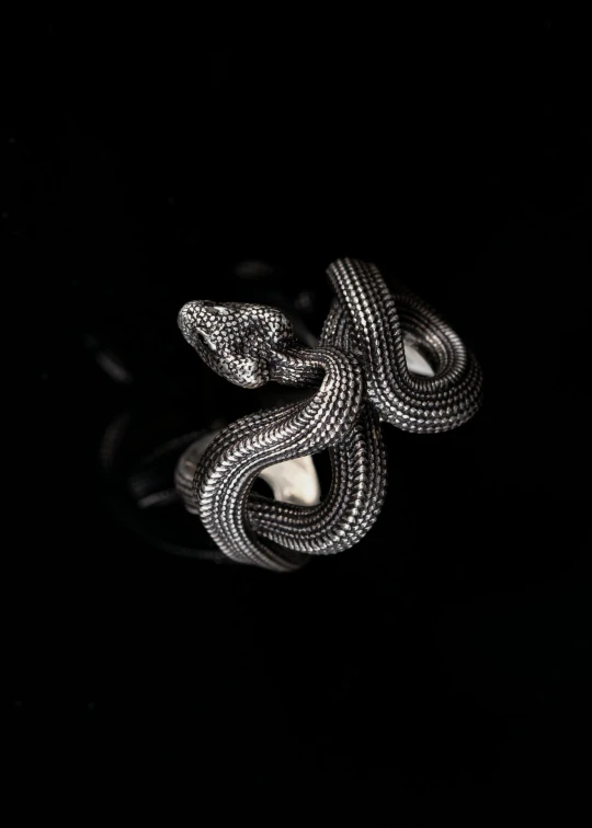 an intricate snake ring with shiny chrome finish