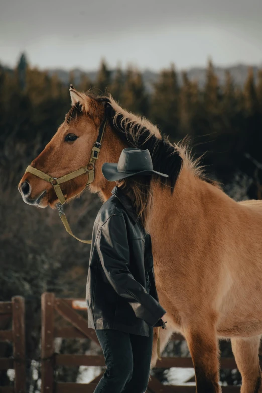 the young man is tending to the horse in the pen