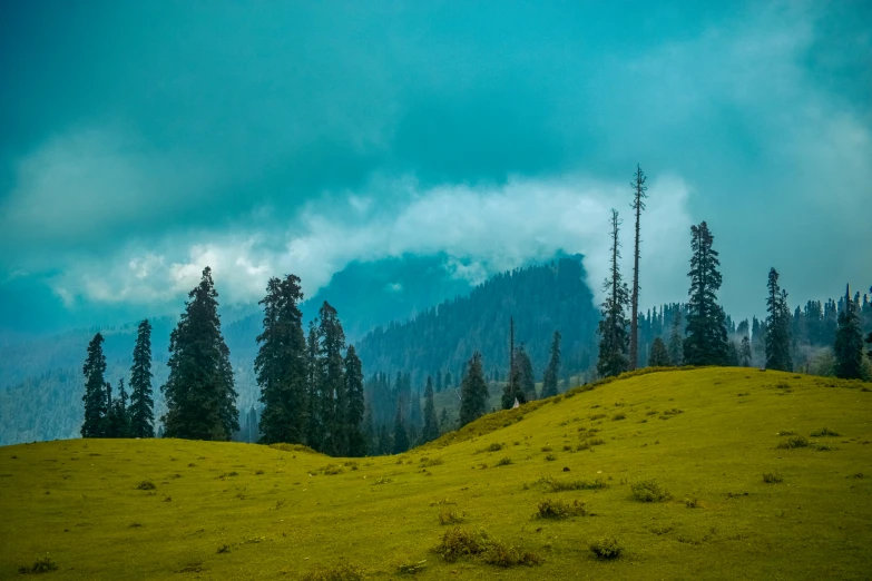 a grassy hillside covered in trees and clouds