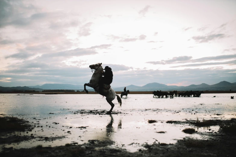 some people in a field riding horses over water