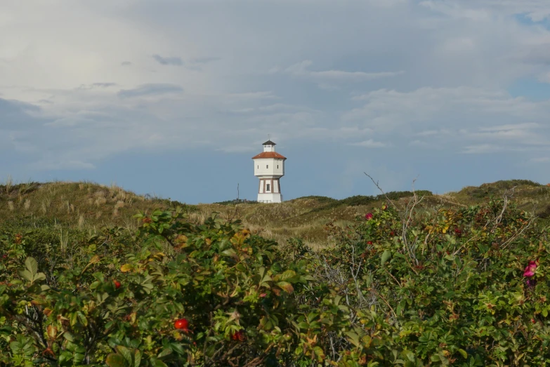 a small light tower is shown over some bushes